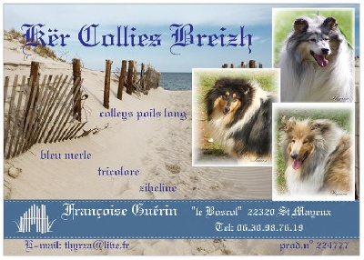 Kër Collies Breizh